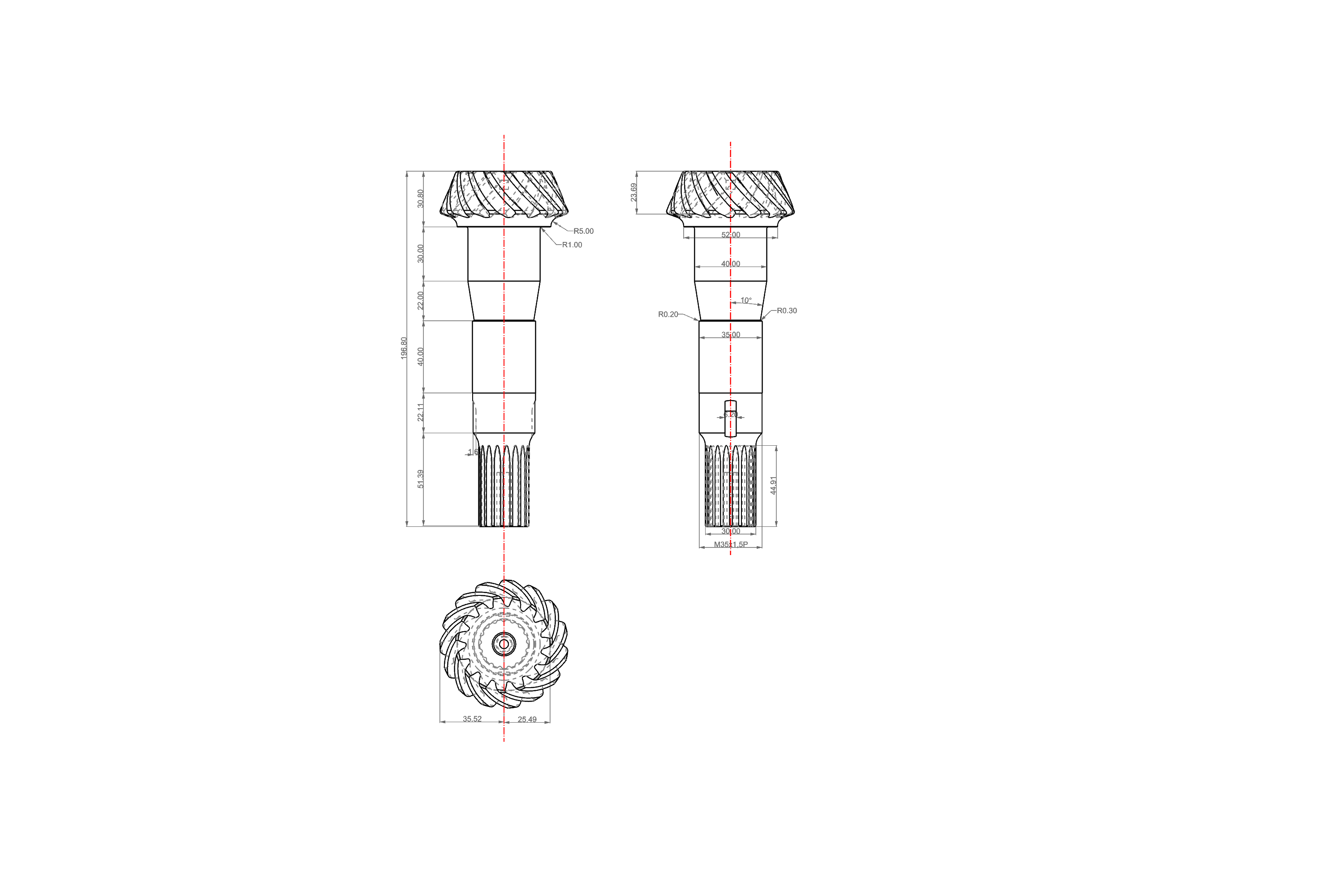 PIGNONE-CONICO-IPOIDE